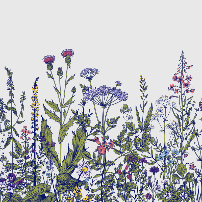 Murale fleurs de prairie amovible Aayusha, L 6,25 po x l 75 po