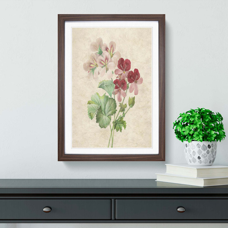Cranesbill Flowers by Pierre-Joseph Redoute - Picture Frame Painting Print, 48cm H x 36cm W x 2cm D, Walnut Framed