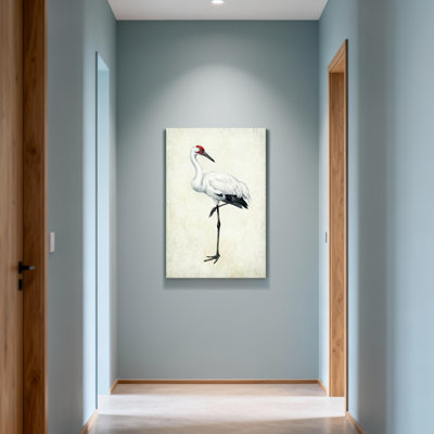 Animaux, grue blanche avec couronne rouge