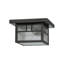 1 - Light Flush Mount