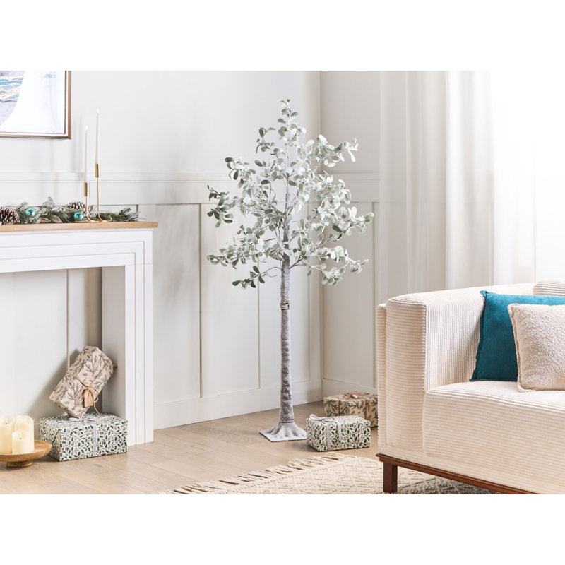 150cm Plant