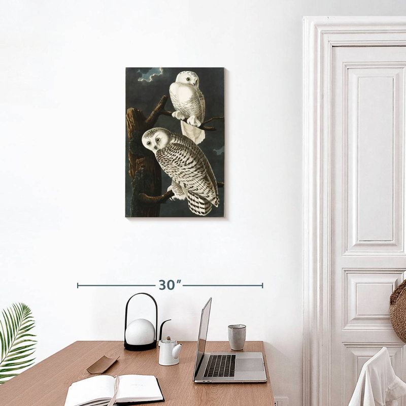Brampt Snowy Owls, 24" H x 16" W