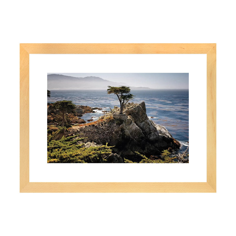 «Lone Cypress Tree» - reproduction, Papier bois naturel, H 16 po x l 24 po x P 1 po
