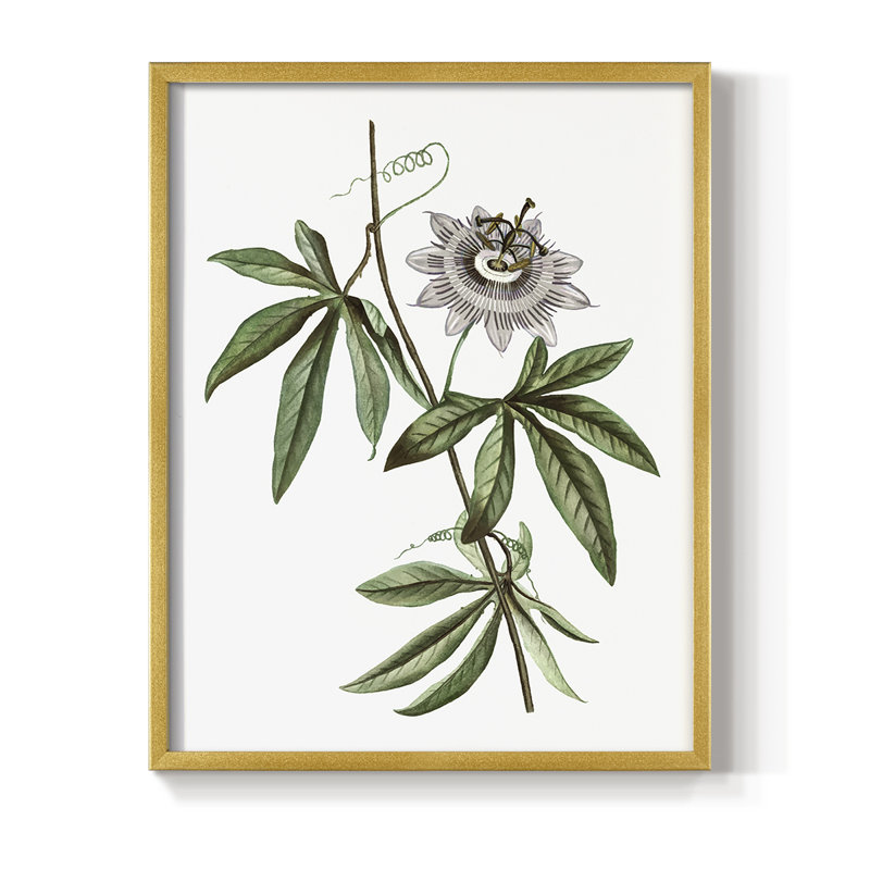 Tropical Botanical I, reproduction encadrée - bois massif, H 30 po x l 24 po, Doré