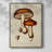 Mushroom Varieties VI Framed Print - Solid Wood-775853104