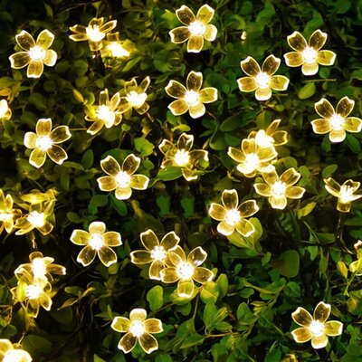 The Holiday AisleÂ® Solar Flower Strings Lights, Solar Fairy Lights 23 Feet 50 Led Cherry Blossoms String Lights For Outdoor, Home, Lawn, Wedding, Pat -  07B5C07B627342E79B9EA803B9870FF4