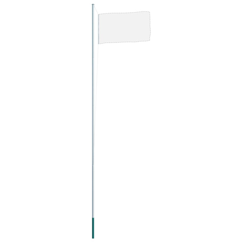 Ensemble de mât cylindrique d'extérieur moderne en aluminium argenté 20,3 pi Flagpole