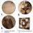 African Lion Running - Lion Wall Art-1749610771-1761691951