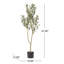 Arbre d'olive artificiel-343693792