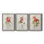 Lin géranium - ensemble de 3 impressions sur toile encadrées-383375882-383375885