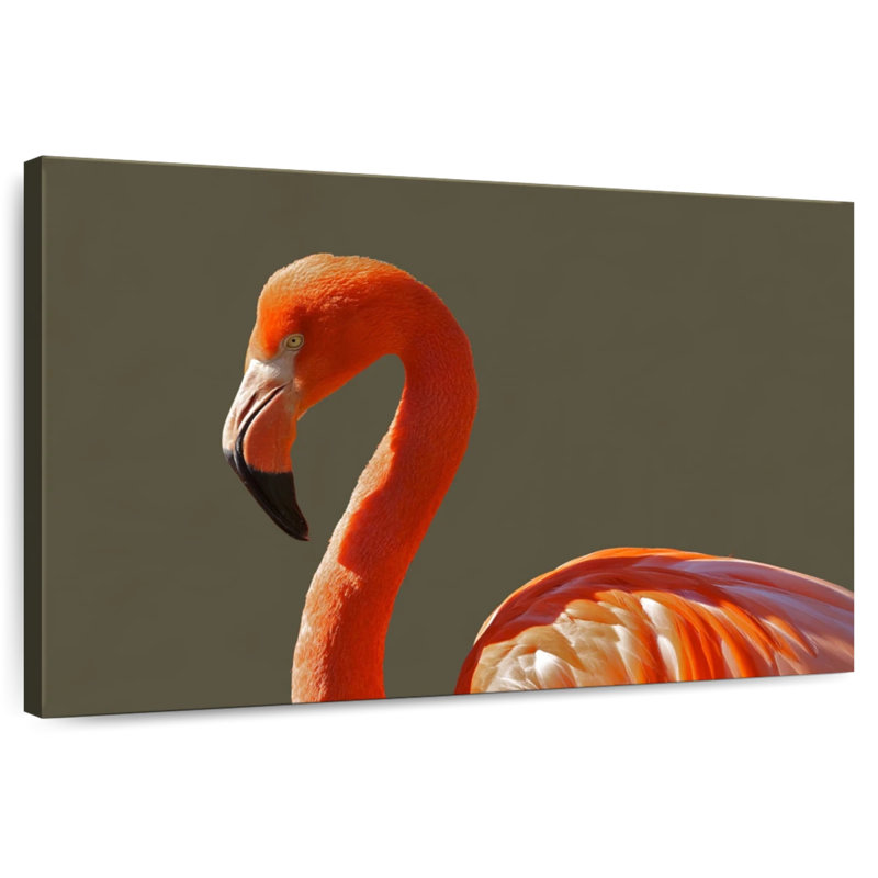 Brampt superbe flamant orange, H 32 po x l 48 po