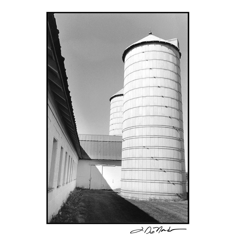 Farm Life III by Laura DeNardo - Wrapped Canvas Print, 46cm H x 30cm W