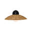 Barbary - Light Outdoor Barn Light