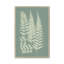 Ferns On Sage III by Vision Studio - Painting on Canvas-1177907867-1177907847