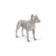 Animals Pit Bull Statue