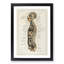 Anatomy Chart in German - Framed Print-55682197-55682198