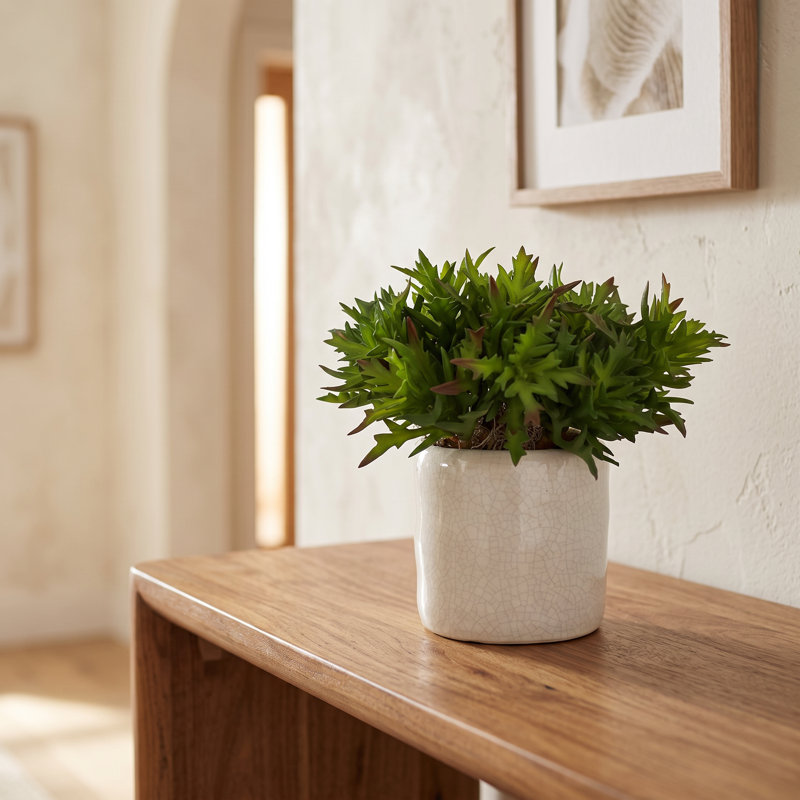 Plantes grasses dans un pot en céramique