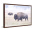 Parvez Taj - Single Picture Frame Print-19701333