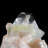 Landscape & Nature Crystal