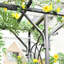 Treillis de jardin 82 po en métal