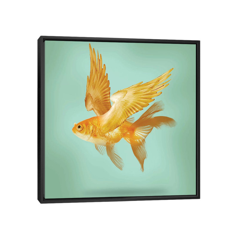 " Flying Fish " by Vin Zzep, 26" H x 26" W x 1.5" D, Black Framed Canvas, No Mat