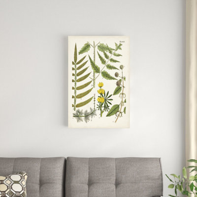 " Fanciful Ferns II " Painting Print