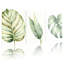 Feuilles tropicales, ensemble de 3 toiles tendues à l'aquarelle pour salon, chambre à coucher ou bureau-465023890