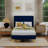 Sutter Upholstered Wingback Bed-1249700962-1233515340
