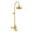 Supercoat Brass