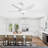 48 Inch Ceiling Fan With Dimmable LED Light And Remote Control, 5 ABS Blades DC Motor-262818402