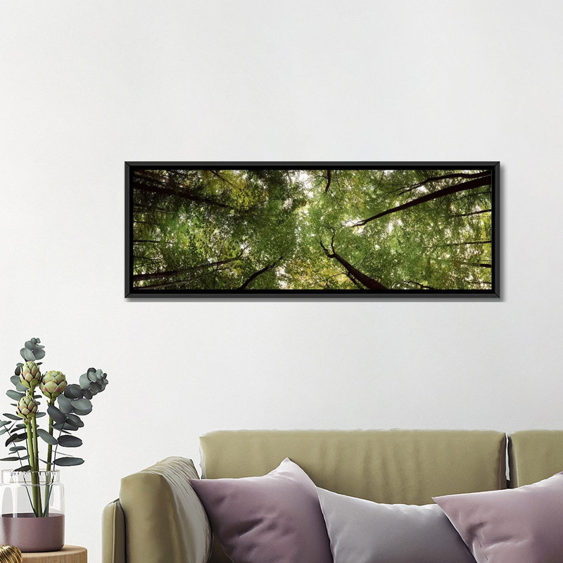 Vue basse d’un arbre, bavière, allemagne #2 par panoramic images-reproduction sur toile tendue, H 16 po x l 48 po x P 1,5 po