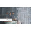 Passion 2.56 W x 7.87 L Tile-1203639862