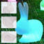 Lampe en forme de lapin de 19 pouces de hauteur et 16 couleurs, lumière extérieure à DEL changeant de couleur intégrée à énergie solaire avec télécommande