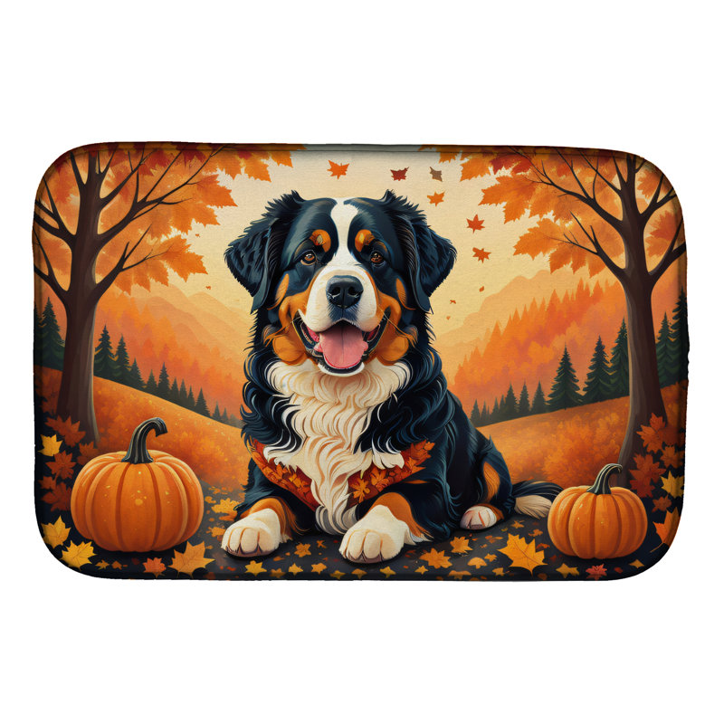 Tapis de séchage