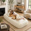 Upholstered 69.69 " Fabric Sofa Bed-1260323066