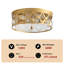 Shantel 2-Light E26 Seeded Glass Gold Dimmable Flush Mount Light Fixtures