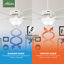 Ventilateur de plafond standard à 5 pales de 52 po avec chaîne de traction et ensemble d'éclairage inclus Newsome-56420828