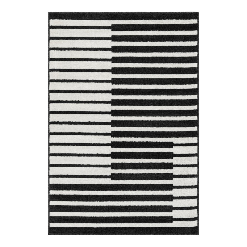 Tapis noir Latitude Run® Namsen Latitude Run®, Rectangle 4 pi 1 po x 6 pi 1 po