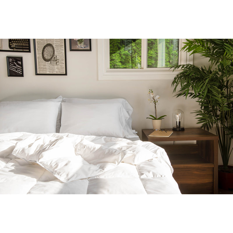 Édredon en duvet toutes saisons, Simple