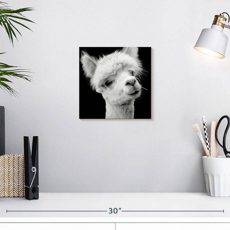 Crowle Monochrome Alpaca Head, H 10 po x l 10 po