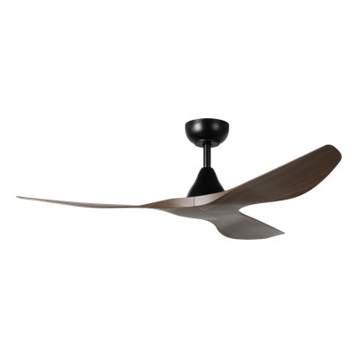 Takoya Ceiling Fan