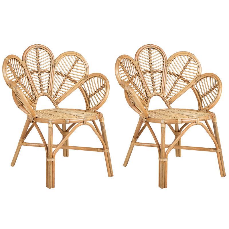 Tontogany Patio Dining Armchair with Cushion