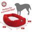 Traversin Patrice-3917847-11097555