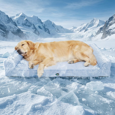 Lit orthopédique rafraîchissant pour chien, taille XL