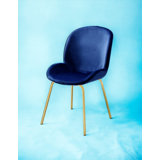 Chuchip  Velvet Finish Side Chair
