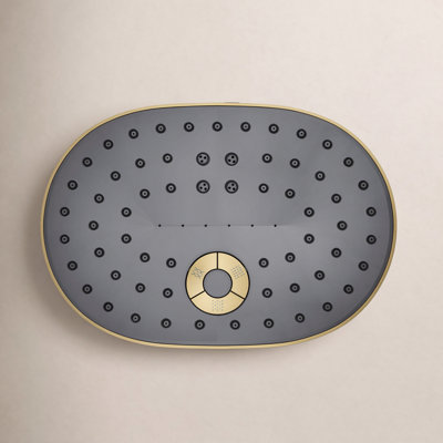 Statement2.5 GPM Oval Multifunction Showerhead with Katalyst Air-Induction Technology