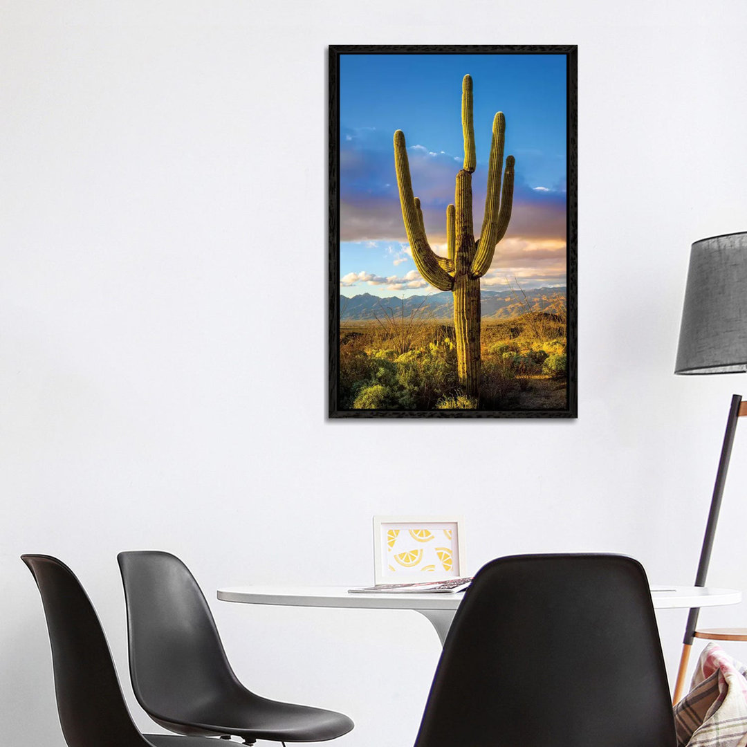 Sonnenuntergang Saguaro National Park Ost III von Susanne Kremer - Galerie-verpackte Leinwand Giclée auf Leinwand