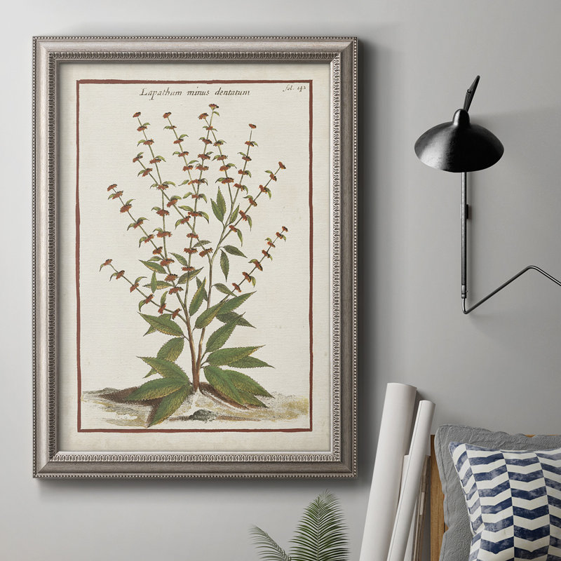 «Munting Botanicals III», reproduction d'art sur toile, L 16 po x H 20 po