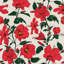 Hibiscus Haiti Flower Wallpaper-101110642
