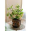 Vase en verre avec motif guépard